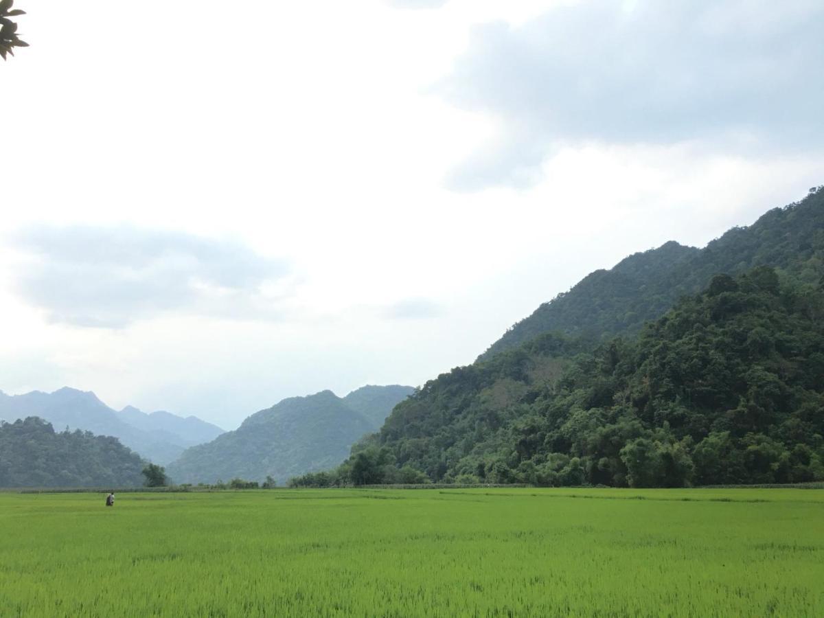 Hoang Quan Homestay Ba Be Exteriör bild